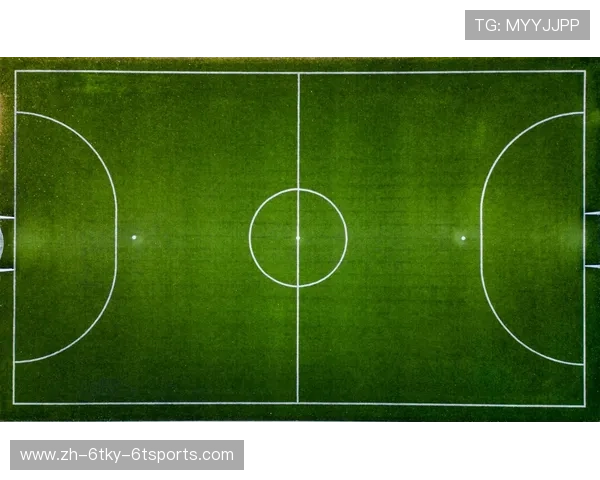 鹰击长空：深度追踪水晶宫关键球员的成长轨迹与战术价值